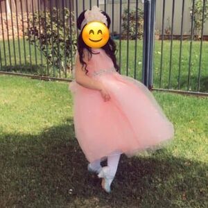 Pink Princess Tulle Dress for Kids